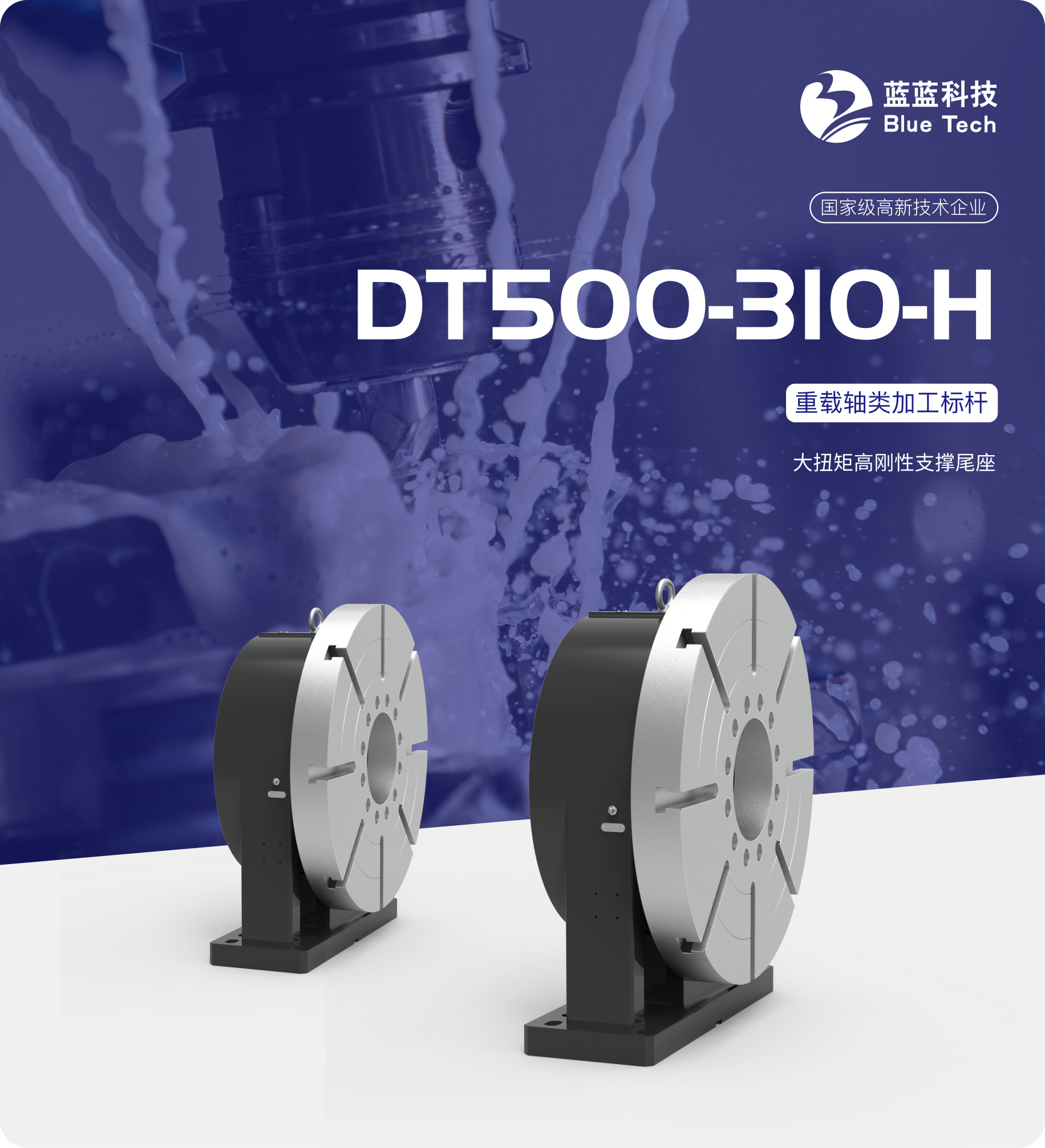 DT500-310-H